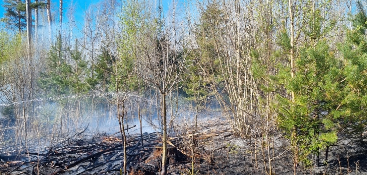 Flere branner på få år – det skaper uro